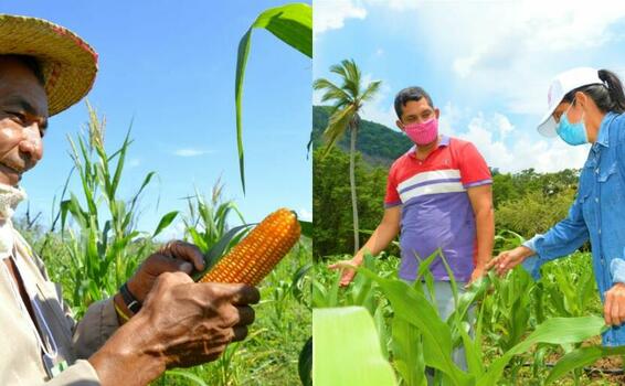 image for Algarrobo inaugura el proyecto Ruta Agroecoturística