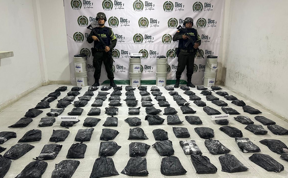 image for Descubren encomienda de 67 kilos de marihuana oculta en pintura