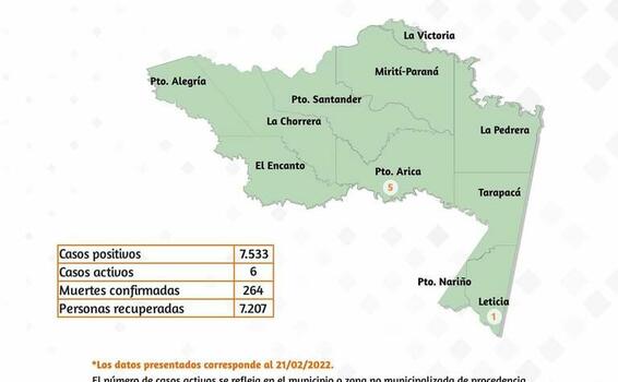 image for Reporte situacional Covid 19 en la región