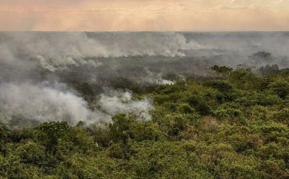 image for Pantanal podera ter crise hidrica historica em 2024