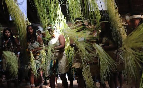 image for Lenguas indígenas de la Amazonia colombiana en alto riesgo 