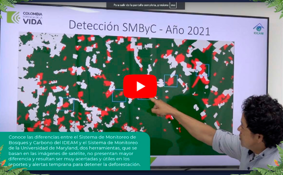 Conoce las diferencias entre el Sistema de Monitoreo de Bosques y Carbono  del IDEAM y el Sistema de Monitoreo de la Universidad de Maryland