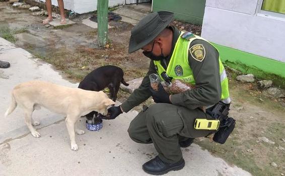 LA POLICIA NACIONAL SE COMPROMETE CON LOS ANIMALES EN CONDICIÓN DE CALLE DURANTE EL AISLAMIENTO OBLIGATORIO 