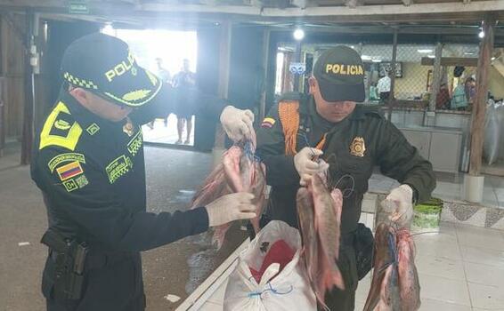 MÁS DE 3 TONELADAS DE PESCADO DE LA ESPECIE MOTA, FUERON HALLADOS EN OPERATIVO DE LA POLICÍA EN AMAZONAS