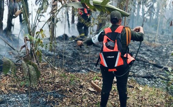 INCENDIOS FORESTALES AFECTAN ZONAS SELVÁTICAS DE LETICIA