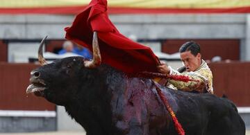 image for Colombia prohíbe las corridas de toros