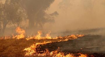 image for Evacuaciones en  Australia por incendios que ya dejan 17 muertos