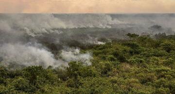 image for Pantanal podera ter crise hidrica historica em 2024