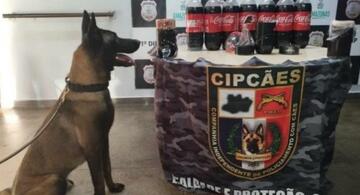 image for Homem e preso com 18 kg de cocaina escondidos em garrafas