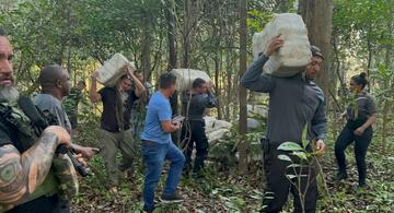 image for Policia apreende uma tonelada de maconha