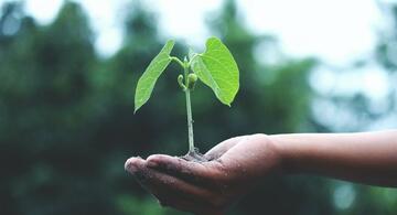 Medio Ambiente 