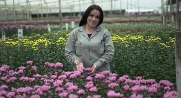 image for Colombia podrá exportar flores a Brasil a partir de febrero