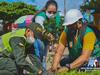 image for Día mundial del árbol | Reforestación de árboles frutales