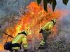 image for Aumentan recursos con nuevo presupuesto para los Bomberos de Antioquia