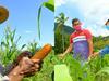 image for Algarrobo inaugura el proyecto Ruta Agroecoturística