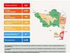image for 58 casos nuevos de Covid en la región