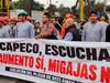 image for Gremios de trabajadores marchan en Lima exigiendo aumento de sueldo 