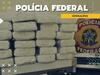 image for PF deflagra operação contra tráfico transnacional de droga em MS