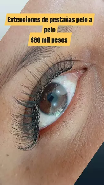 image for Las cejas se moda